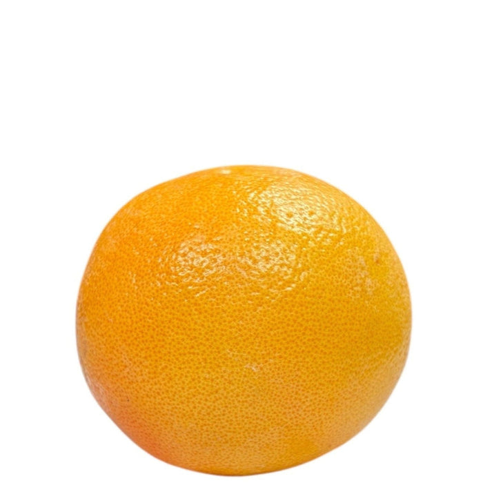 Sunkist Grapefruit 1 Each