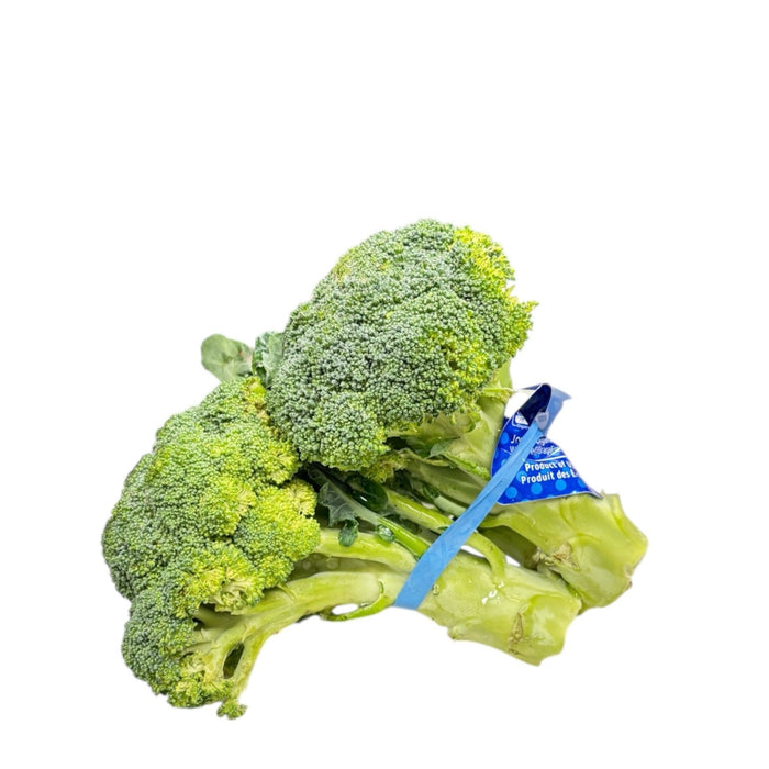Organic Broccoli 1 Brunch