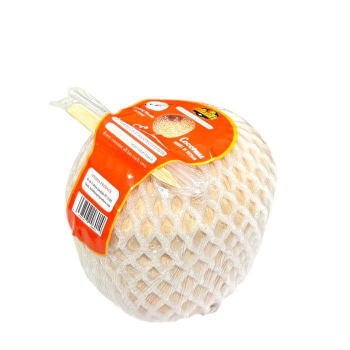 Utopia Young Coconut