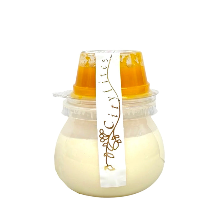 Citylights Frzn Pudding Mango Flv 140G