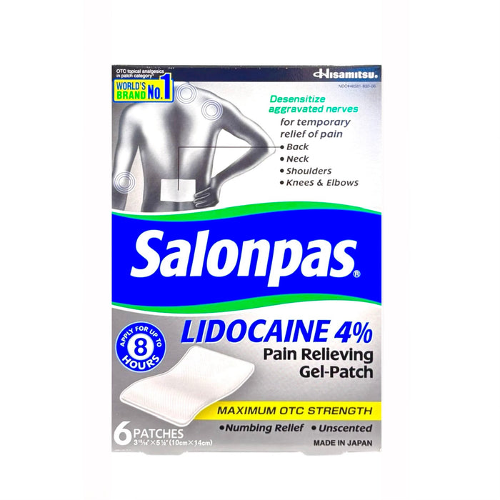 Hisamitsu Salonpas 6 Patches Gel