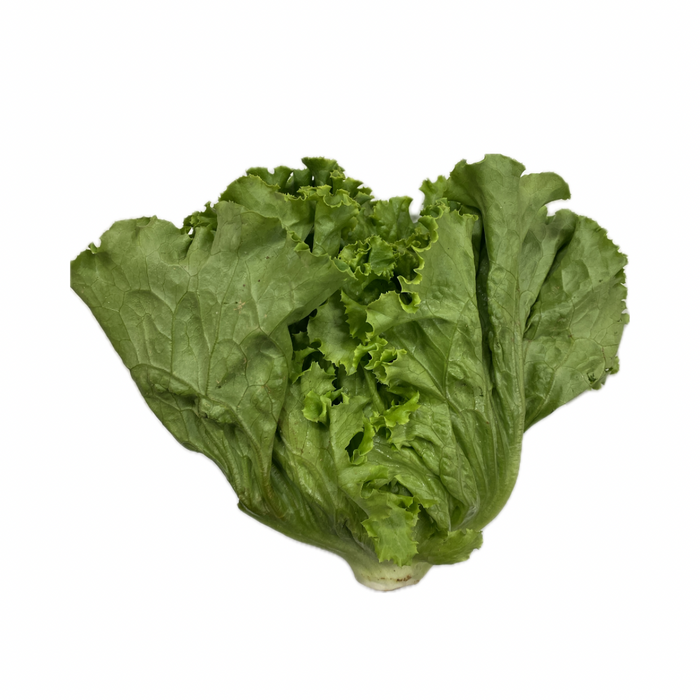 Cal-Organic Green Leaf Lettuce 1 Bunch