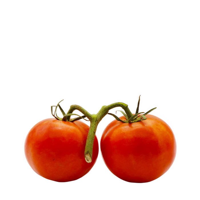 Stem Tomatoes 1lb