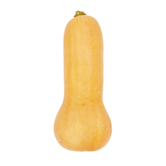 Butternut Squash 3 3lb H Mart Manhattan Delivery butternut-squash-3-3lb-h-mart-manhattan-delivery