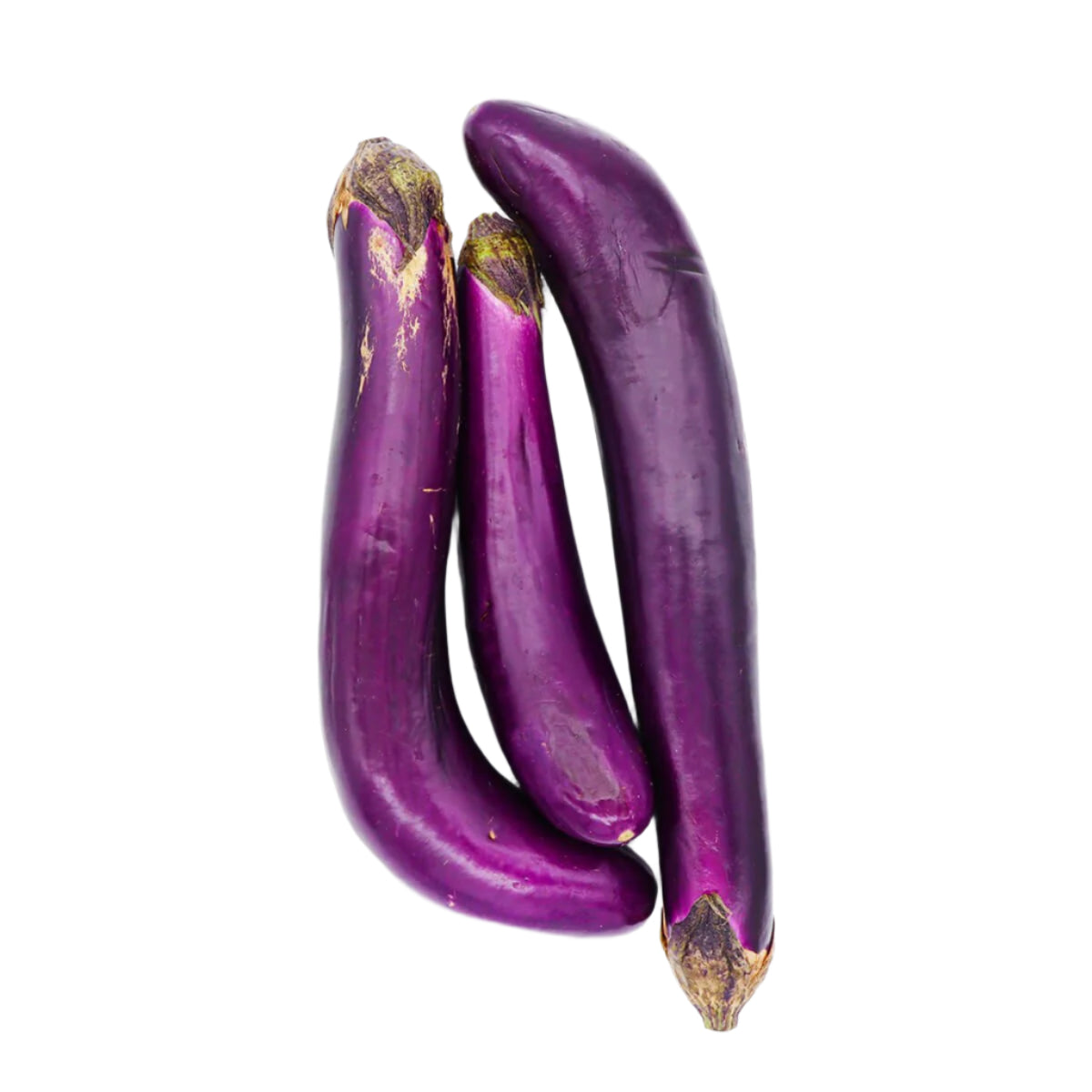 eggplantページ 0000000003089