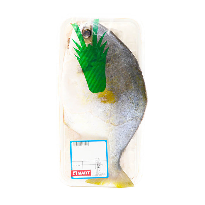 Golden Pampano Butterfish - H Mart Manhattan Delivery