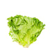 Green Leaf Lettuce 1 Bunch - H Mart Manhattan Delivery
